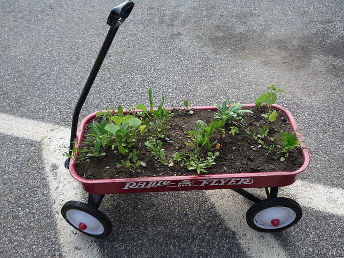 Eine kleine Schubkarre dient als Blumenbeet.